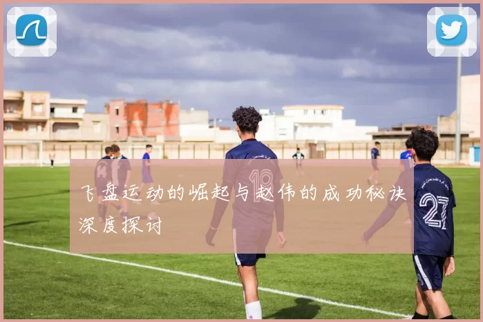 飞盘运动的崛起与赵伟的成功秘诀深度探讨