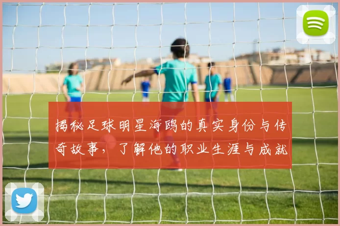 揭秘足球明星海鸥的真实身份与传奇故事，了解他的职业生涯与成就
