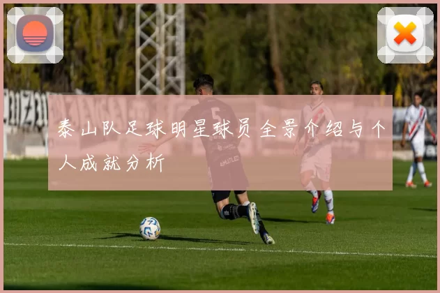 泰山队足球明星球员全景介绍与个人成就分析