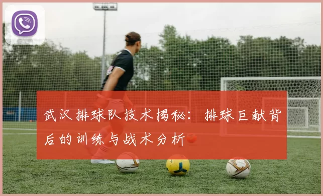 武汉排球队技术揭秘：排球巨献背后的训练与战术分析