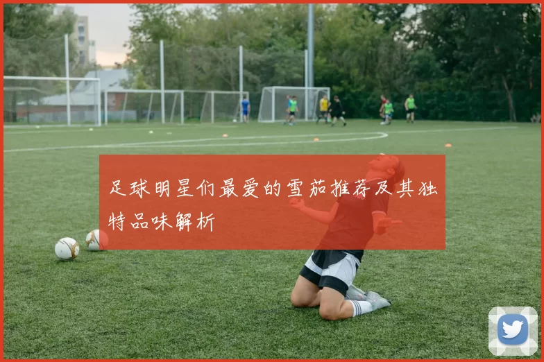 足球明星们最爱的雪茄推荐及其独特品味解析