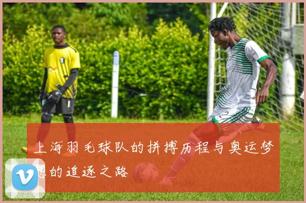 上海羽毛球队的拼搏历程与奥运梦想的追逐之路