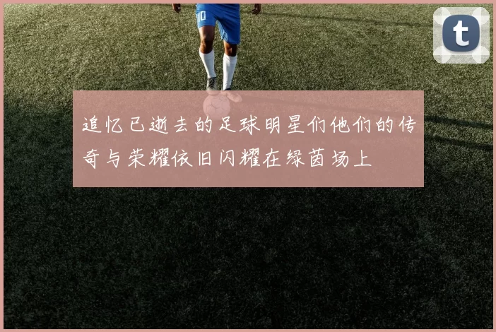 追忆已逝去的足球明星们他们的传奇与荣耀依旧闪耀在绿茵场上