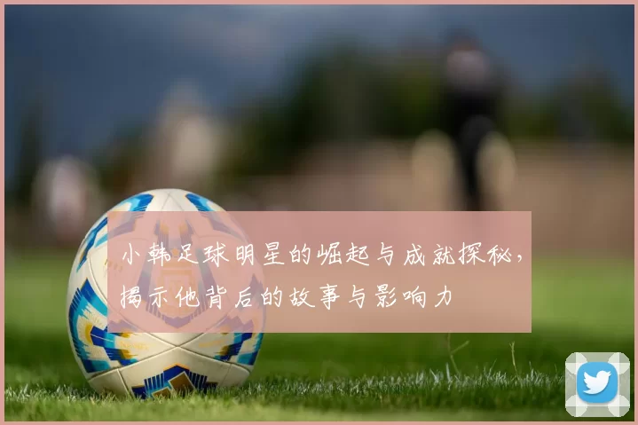 小韩足球明星的崛起与成就探秘，揭示他背后的故事与影响力