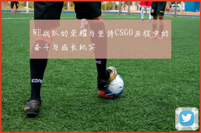 WE战队的荣耀与坚持CSGO历程中的奋斗与成长纪实