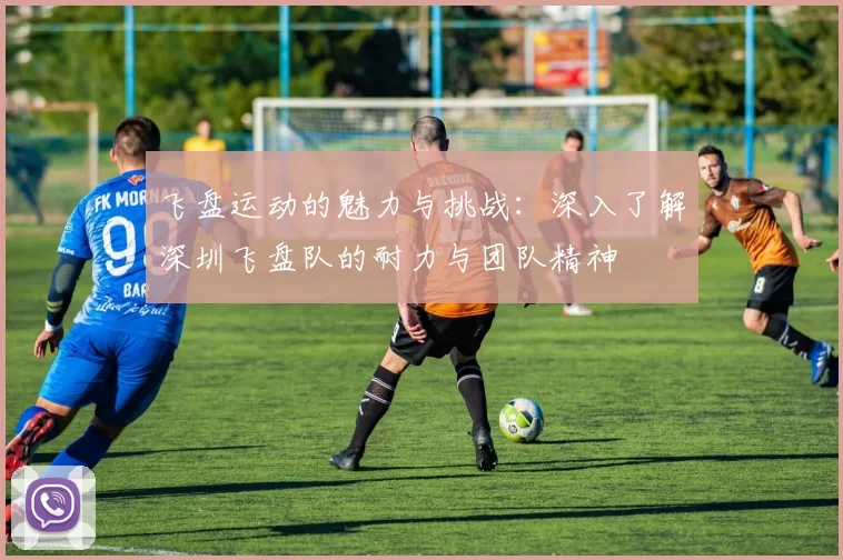 飞盘运动的魅力与挑战：深入了解深圳飞盘队的耐力与团队精神