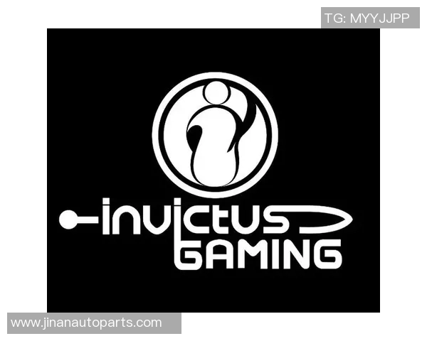 RNG战队在比赛中的耐力表现分析与数据解读