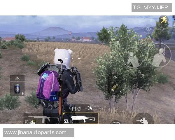 和平精英最新速度排行榜揭晓TES战队荣登第4名引发热议