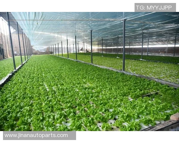 果园生态循环与可持续发展:探索现代农业的绿色转型之路 果园生态循环与可持续发展:探索现代农业的绿色转型之路