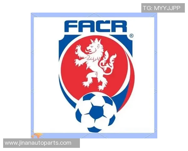 欧洲杯历史回顾与未来展望:从辉煌到挑战的足球盛宴 欧洲杯历史回顾与未来展望:从辉煌到挑战的足球盛宴